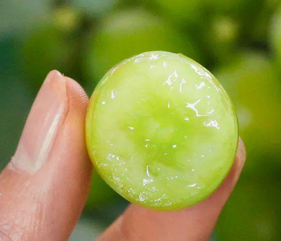 植调剂厂家