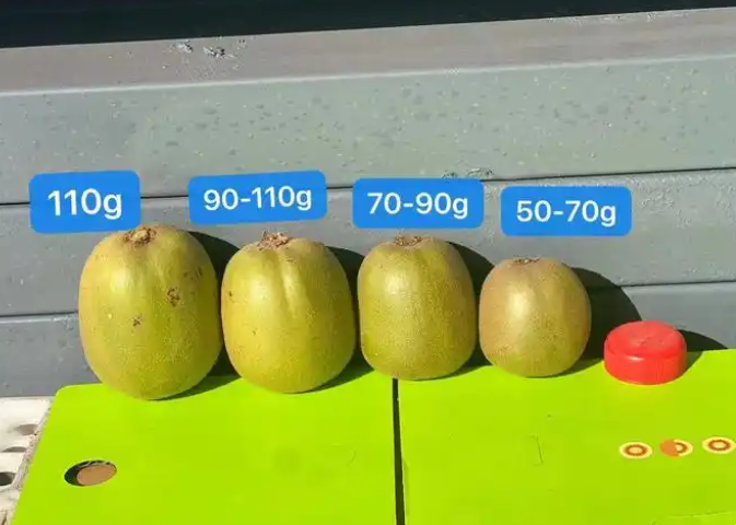 膨大剂