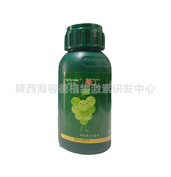 葡丁.jpg